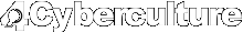 4Cyberculture
